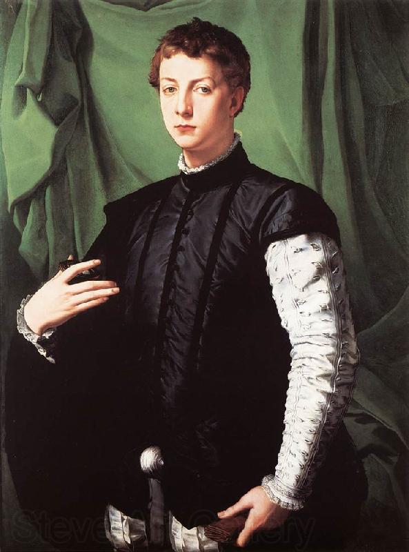 BRONZINO, Agnolo Portrait of Ludovico Capponi Norge oil painting art